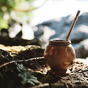 Звідки походить Yerba Mate? Інтернет-користувачі все ще сперечаються, але ми знаємо відповідь!