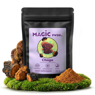 Magic Pwdr – Чага 30 г