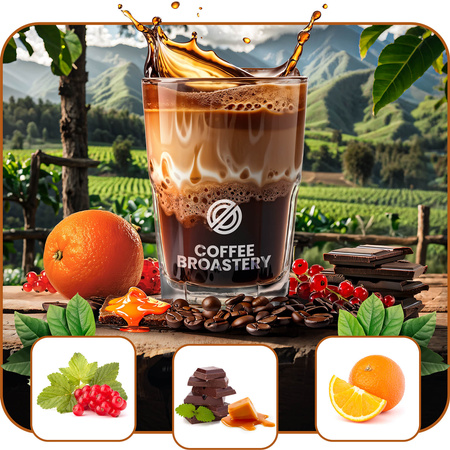 Кавові зерна Coffee Broastery - Colombia Medellin Premium 400 г