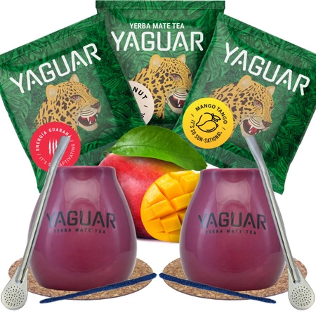 Набір Yerba Mate Calabash Yaguar PREMIUM для двох